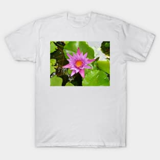 Honolulu Water Lily T-Shirt